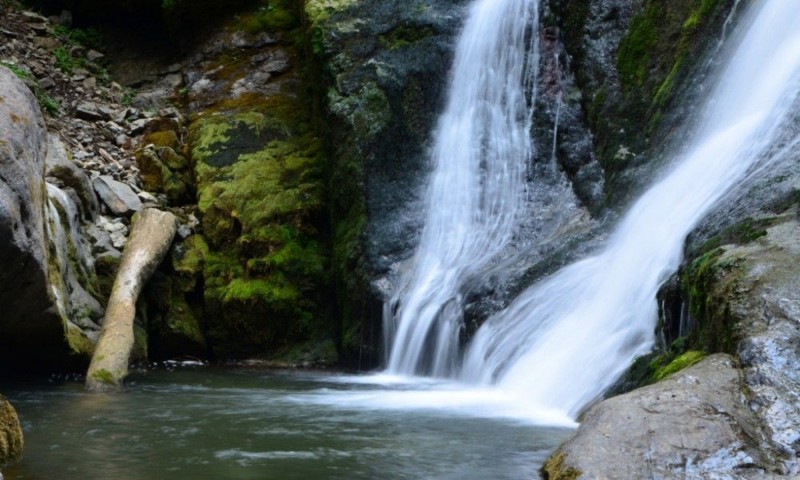 Excursie la Beliş Excursie la Beliş